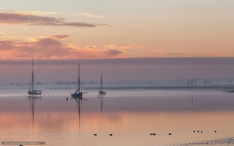 Sailboats on Calm Water — Pink, Serene