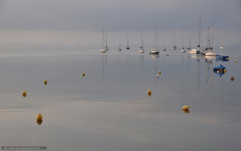 Sailboats on calm water