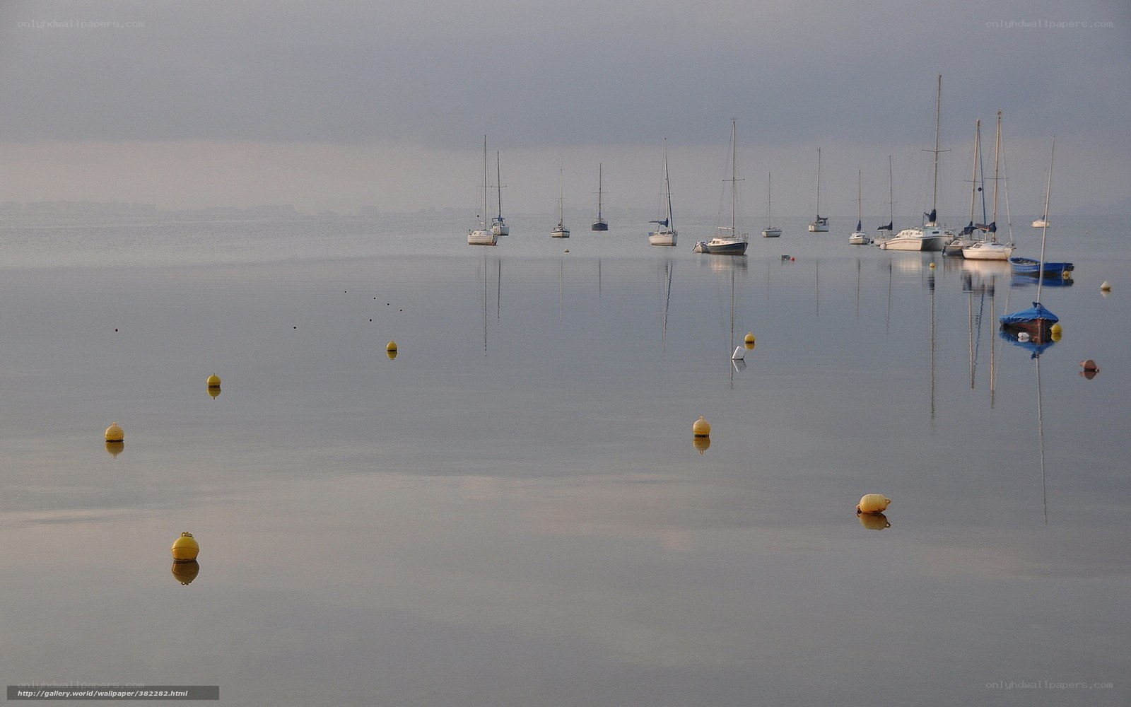 Sailboats on calm water