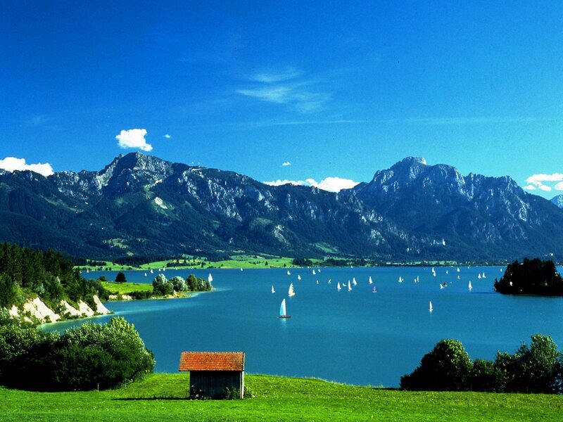 Sailboats on Lake — Blue, Serene, Afternoon