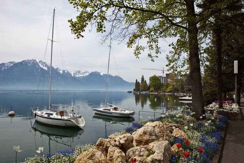 Sailboats on Lake — Blue, Serene, Spring