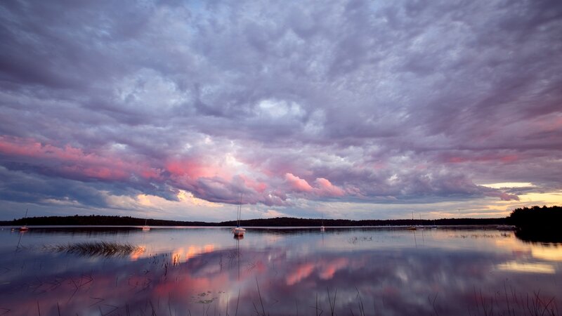 Sailboats on Lake — Purple, Dramatic