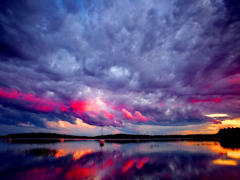 Sailboats on Lake — Purple