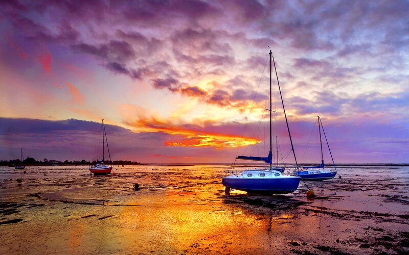 Sailboats on Mudflats — Purple
