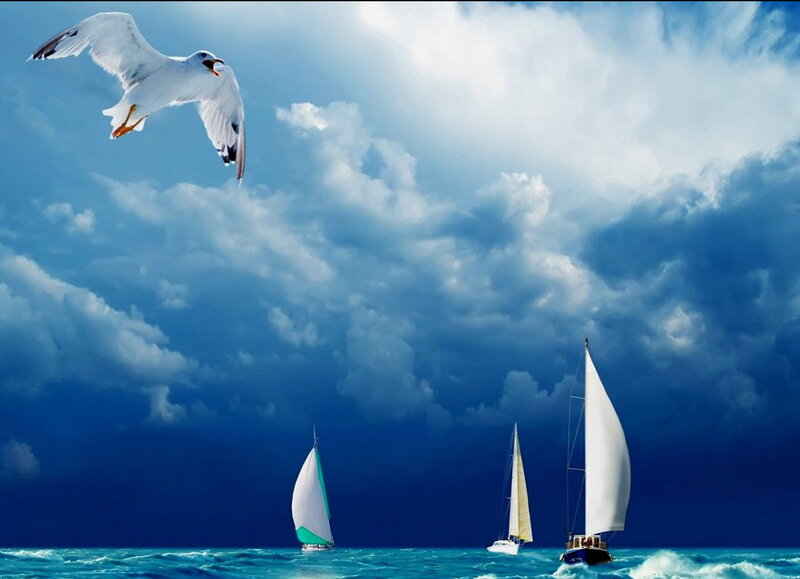 Sailboats on Ocean — Blue, Dramatic, Photograph