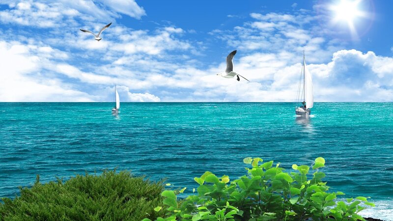 Sailboats on Ocean — Blue, Serene, Afternoon, Photograph