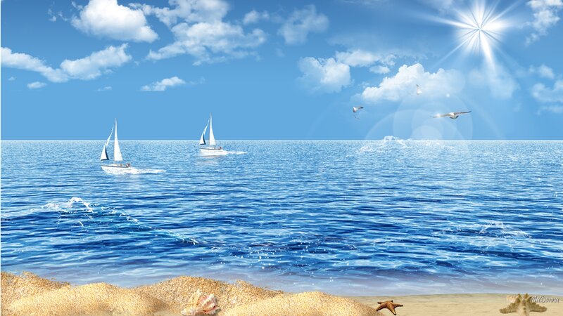 Sailboats on Ocean — Blue, Serene, Afternoon