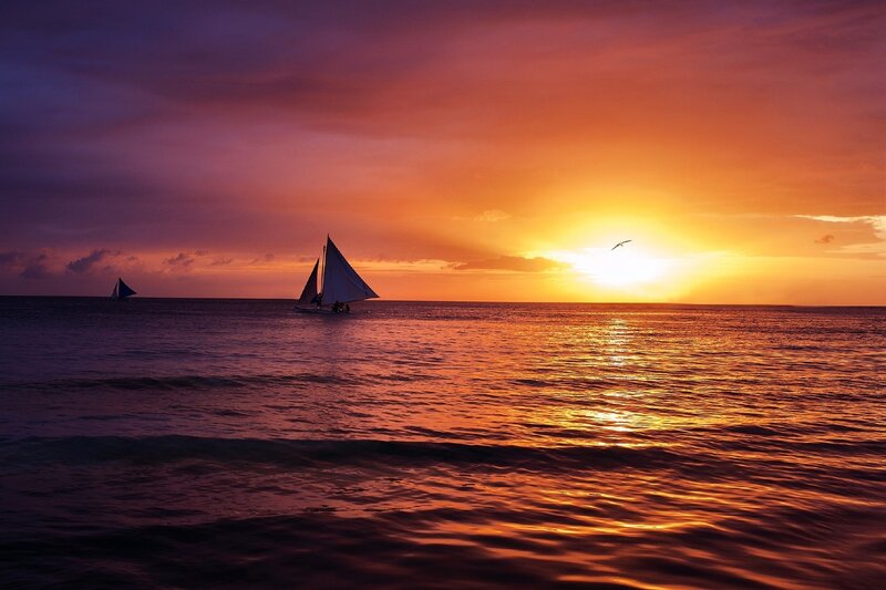 Sailboats on Ocean — Orange, Serene, Sunset, Photograph, Bird