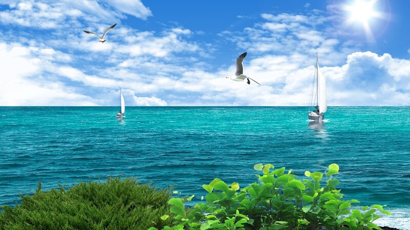 Sailboats on Ocean