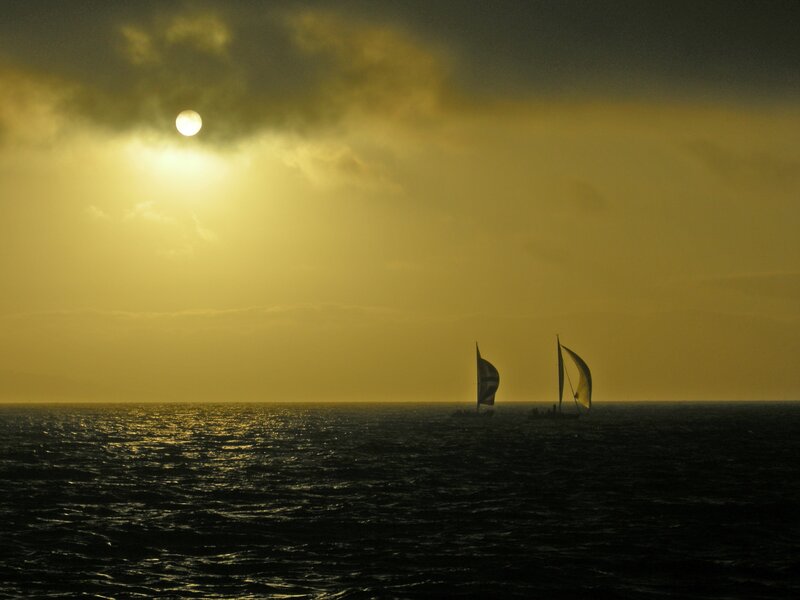 Sailboats on the Ocean — Yellow