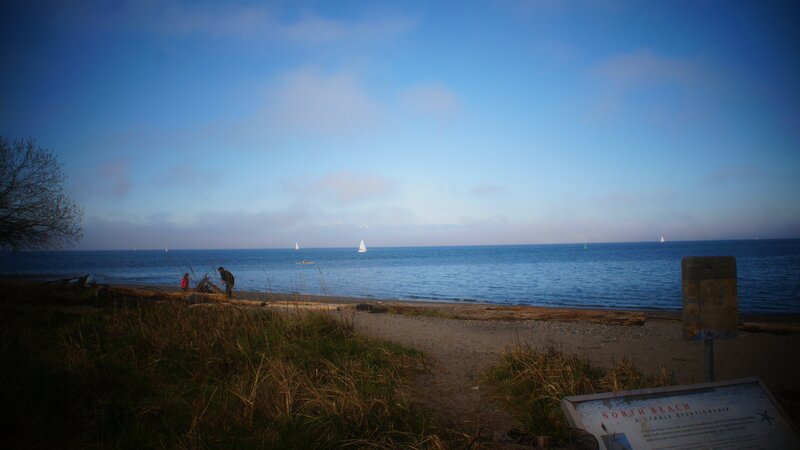 Sailboats on the Water — Blue, Calm