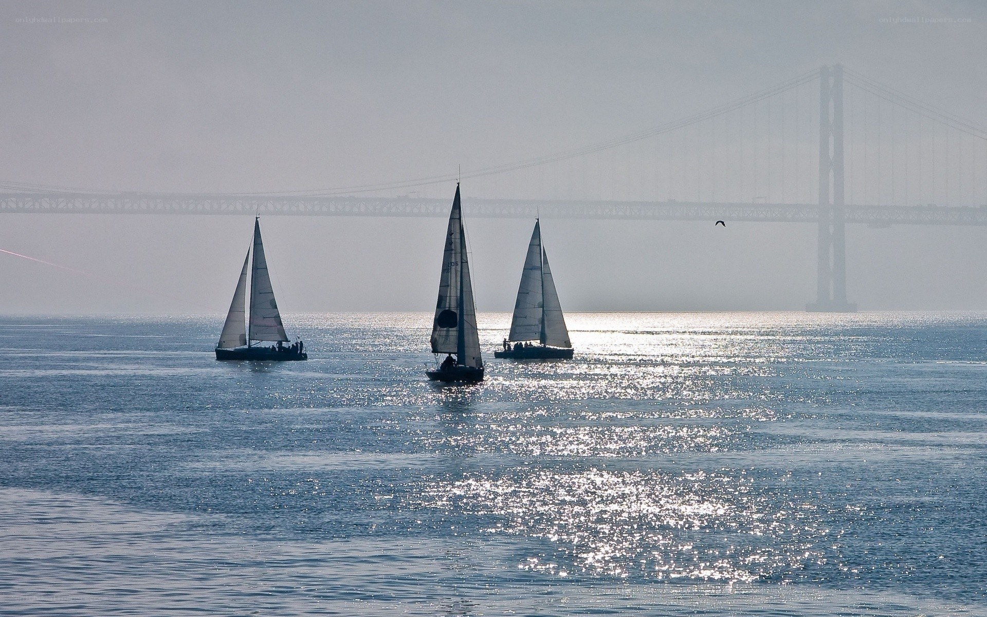 Sailboats on the water