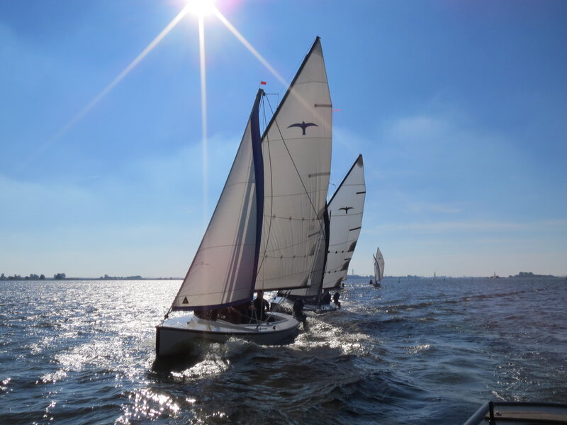 Sailboats on Water — Blue, Bright