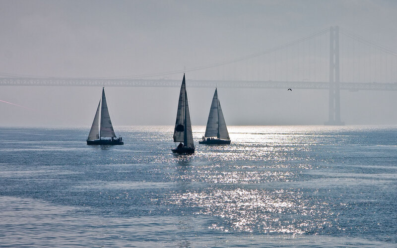 Sailboats on Water — Blue, Calm, Afternoon