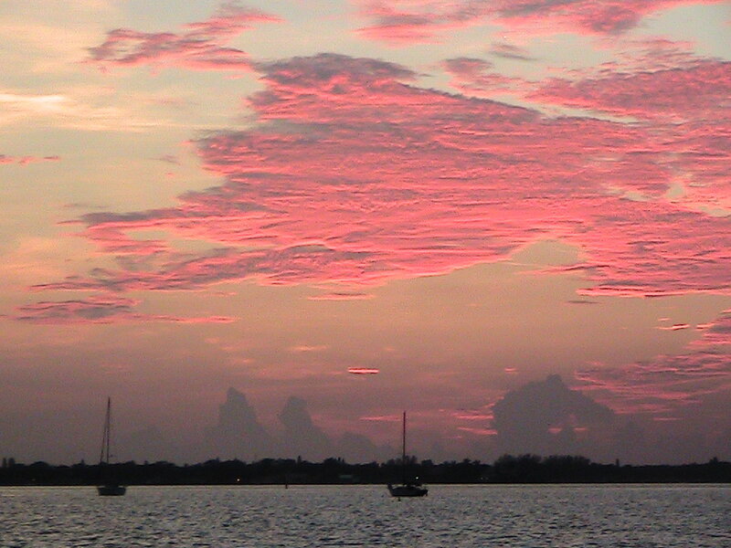 Sailboats on Water — Pink