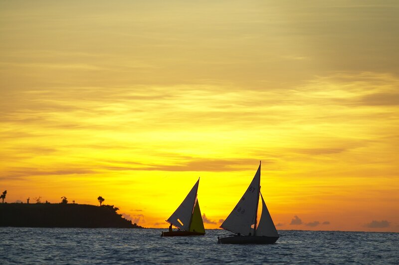 Sailboats on Water — Yellow, Serene
