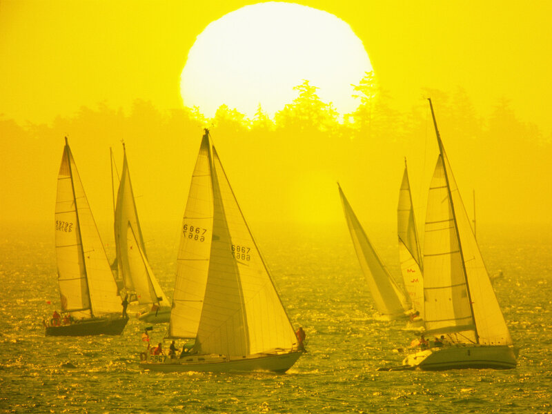 Sailboats on Water — Yellow