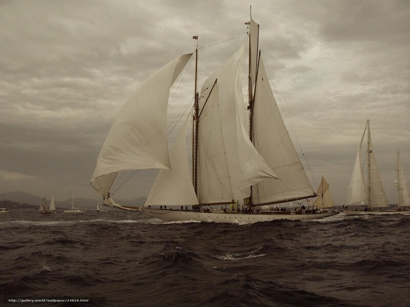 Sailboats racing in rough seas