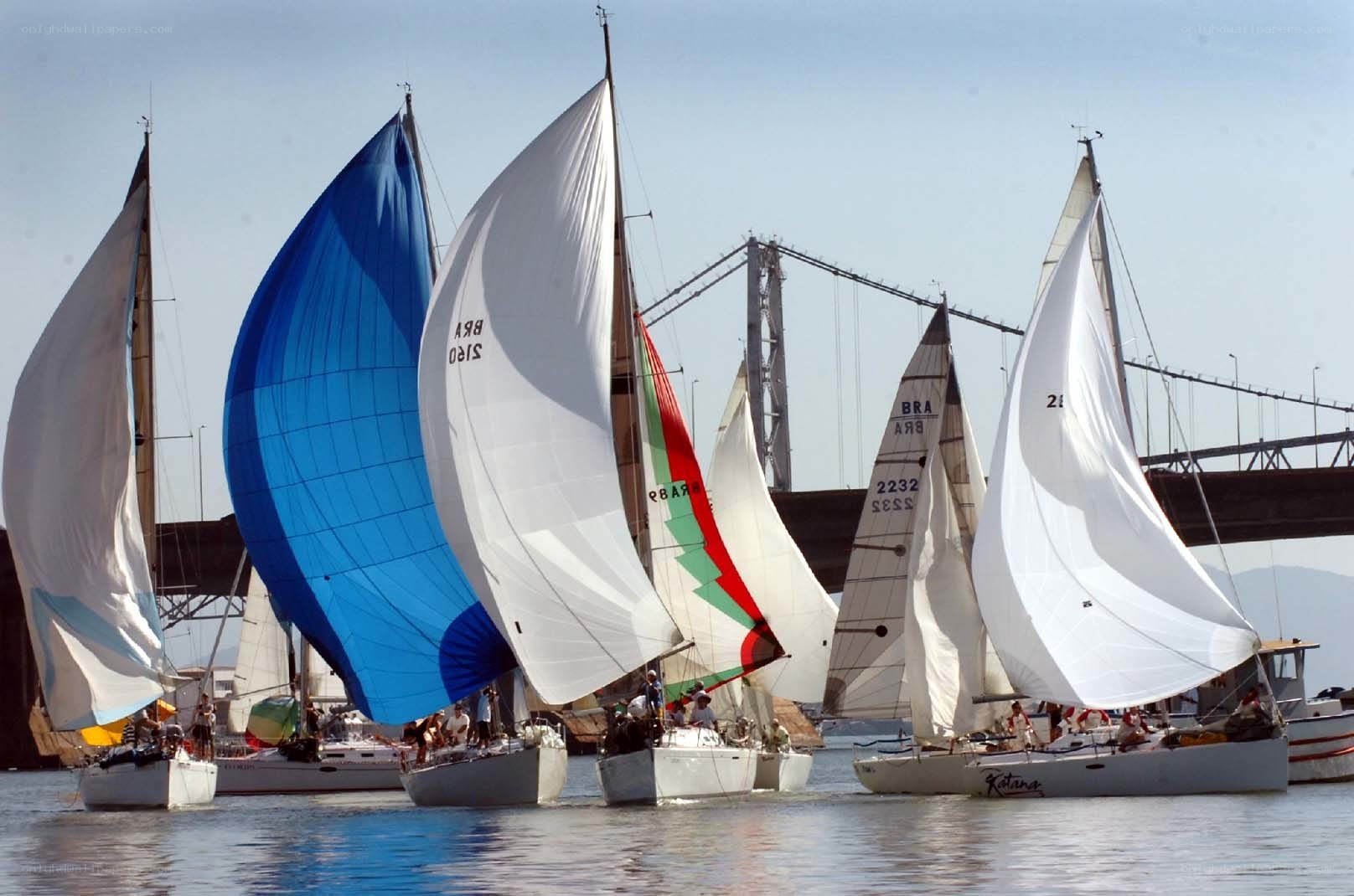 Sailboats racing near a bridge