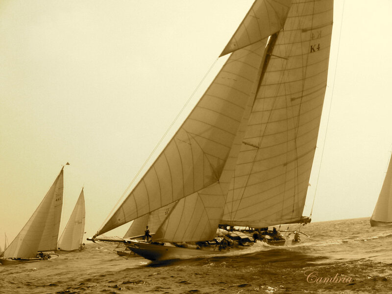 Sailboats racing on the sea