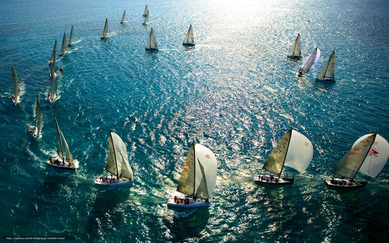 Sailboats racing on the sea