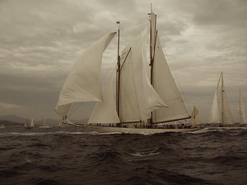 Sailboats racing on the sea