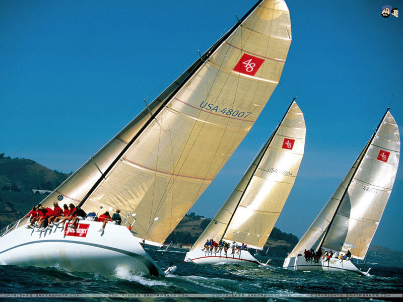 Sailboats racing on the water