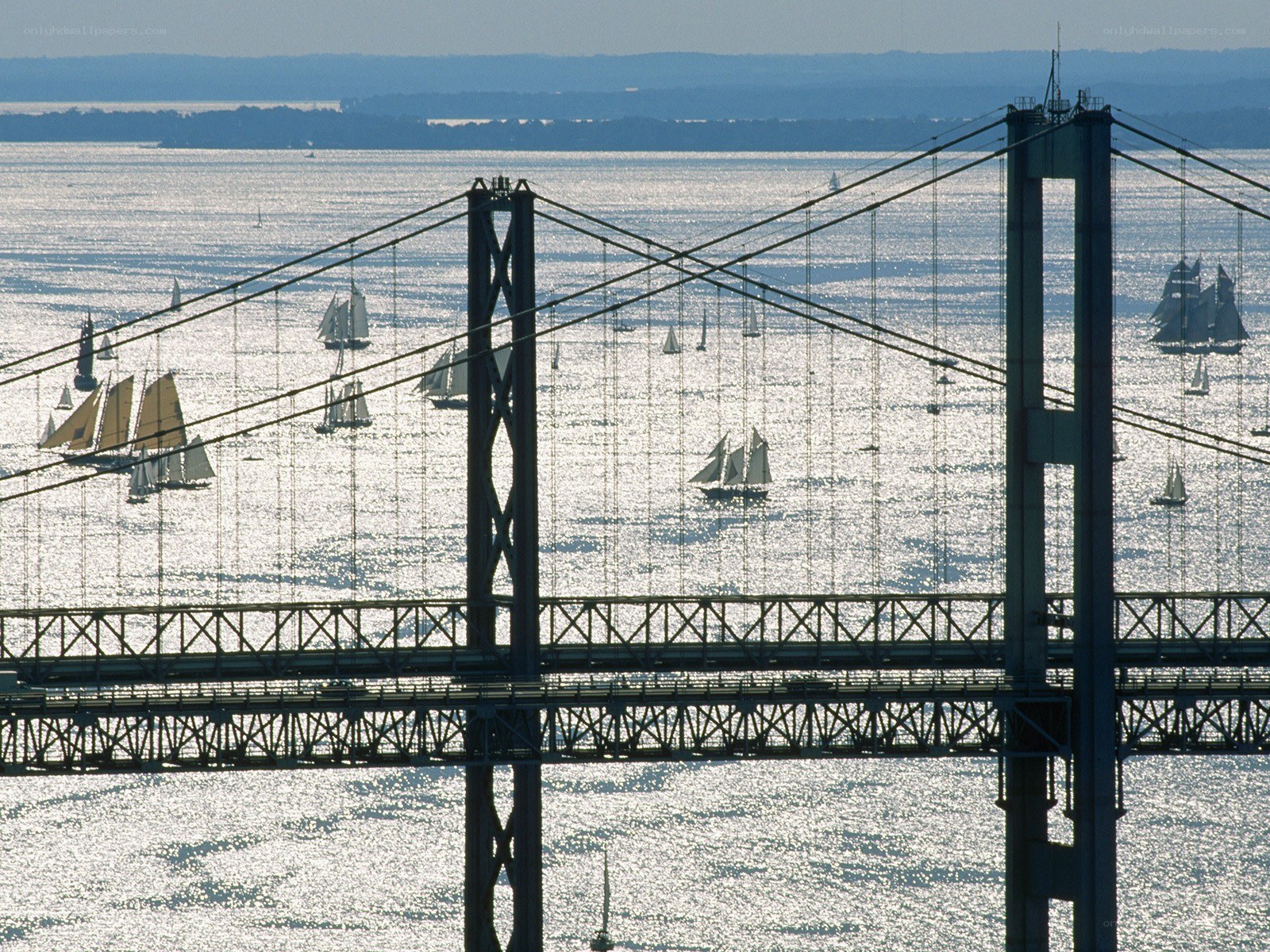 Sailboats under a suspension bridge