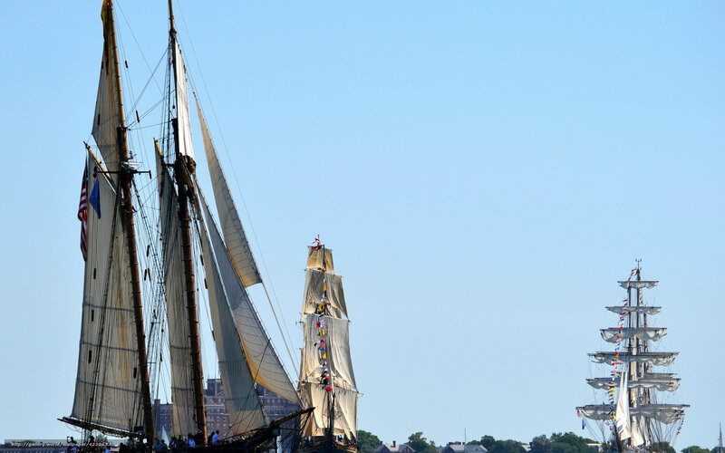 Sailing ships at a maritime festival