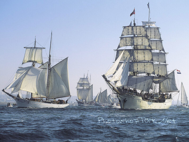 Sailing ships in a regatta