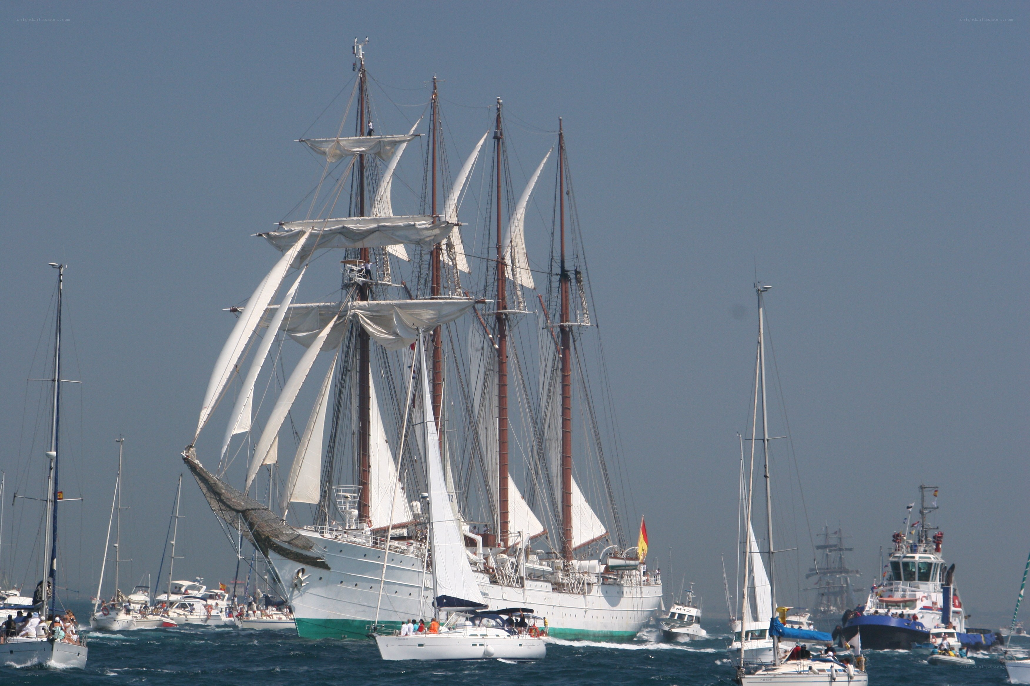 Sailing ships in a regatta