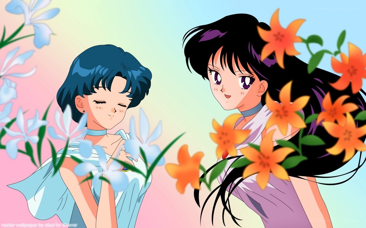 Sailor Mercury and Sailor Mars
