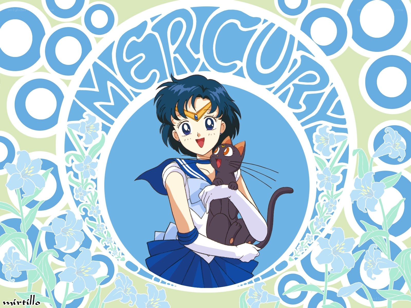 Sailor Mercury with her cat