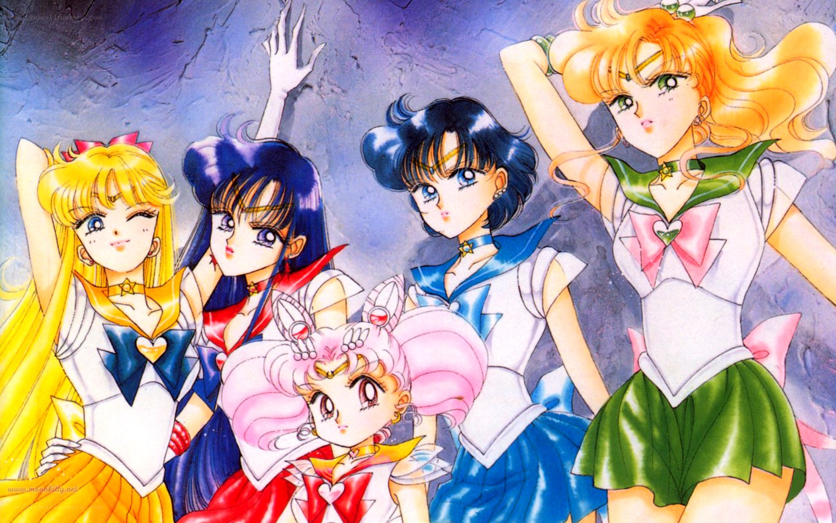 Sailor Moon and allies
