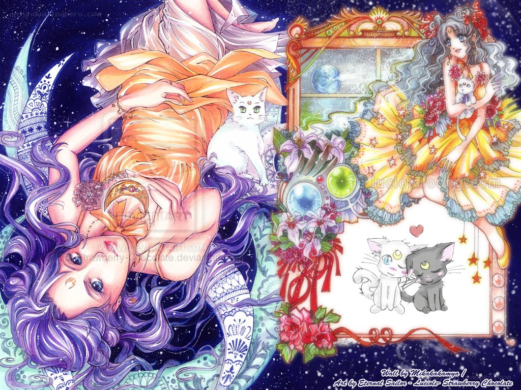 Sailor Moon character art