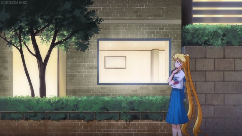 Sailor Moon Character — Blue, Calm, Night, Anime, Tree