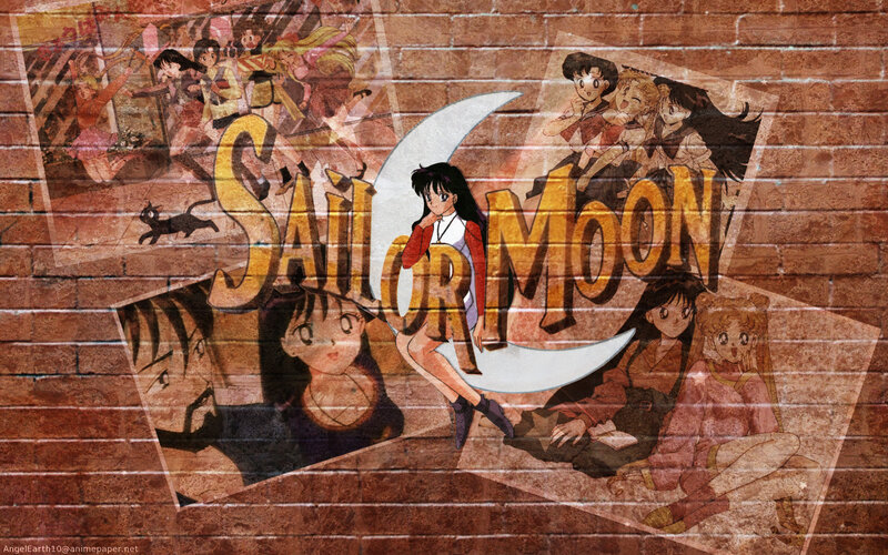 Sailor Moon Character Collage — Brown