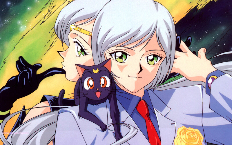 Sailor Moon characters with cat