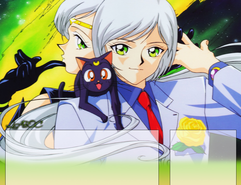Sailor Moon characters with cat
