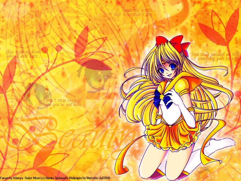 Sailor Moon fan art