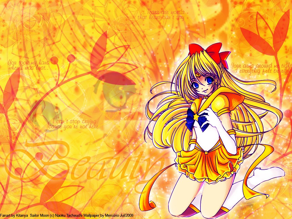 Sailor Moon fan art