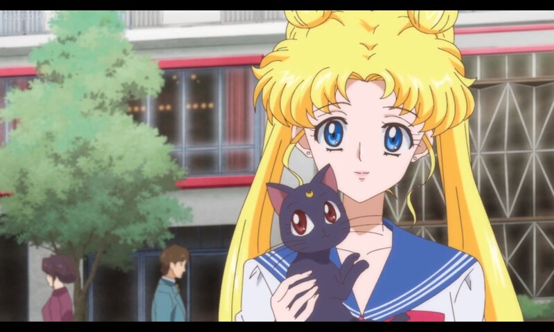 Sailor Moon Holding a Cat