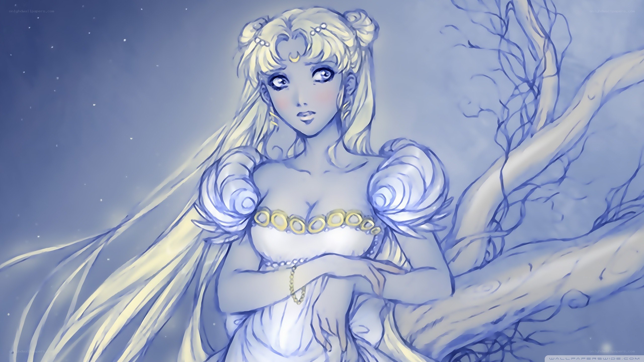 Sailor Moon in a moonlit forest