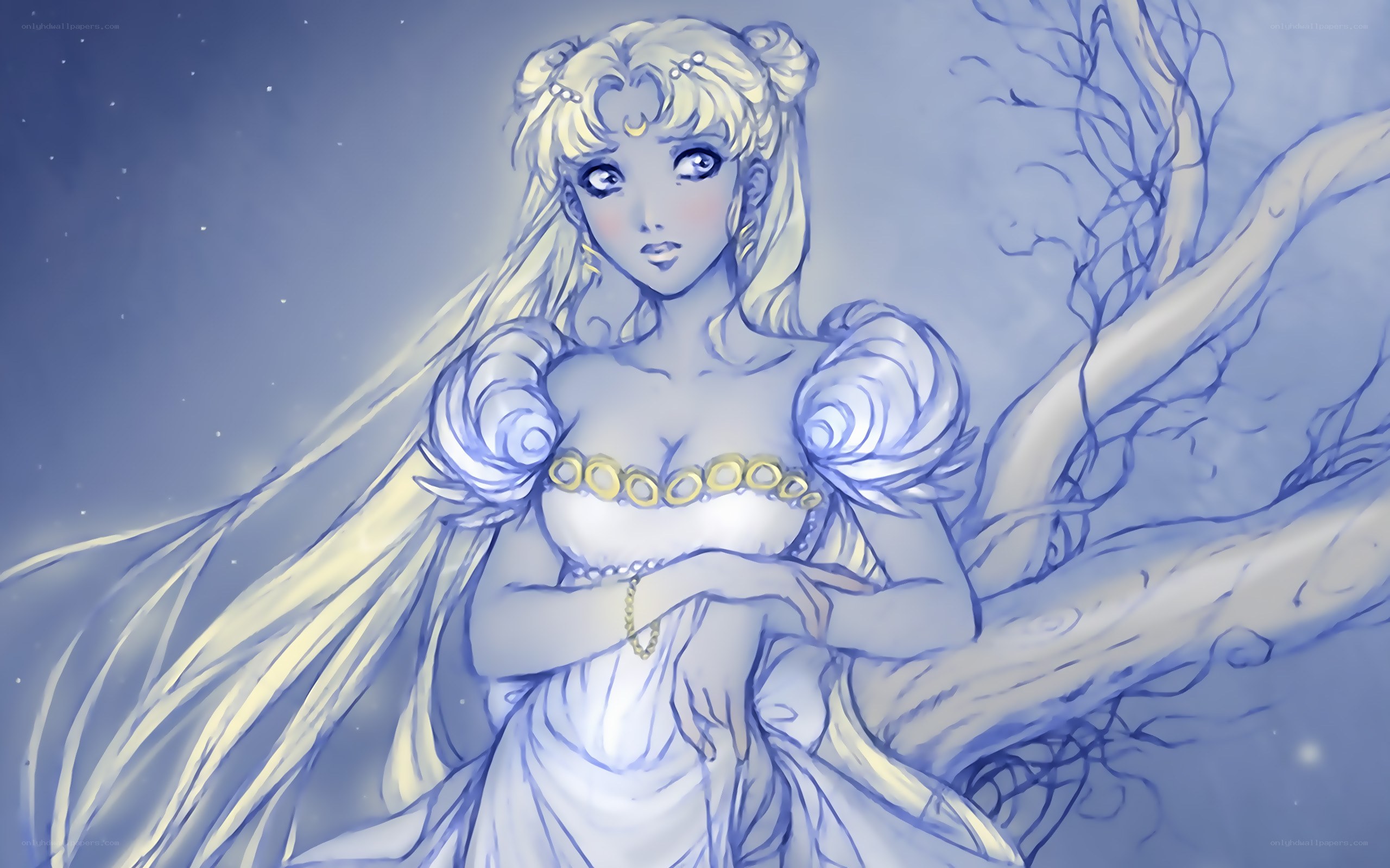Sailor Moon in a moonlit scene