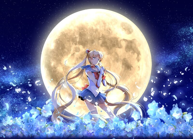 Sailor Moon in Field