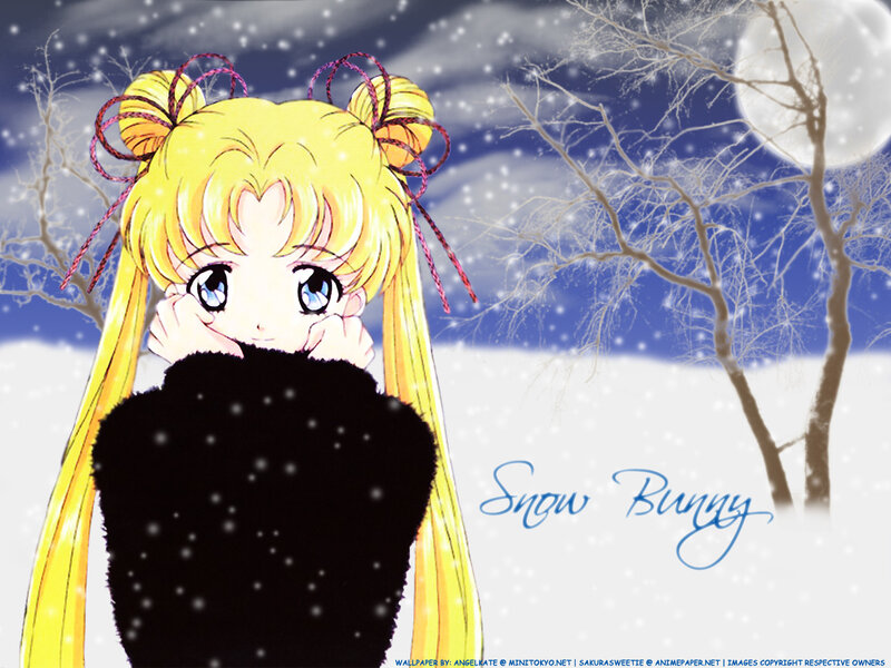 Sailor Moon in Snow