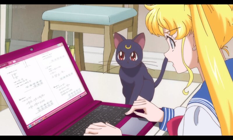 Sailor Moon Using Laptop