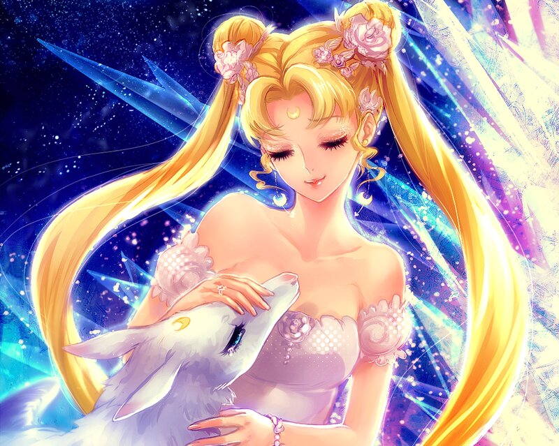 Sailor Moon with a White Cat