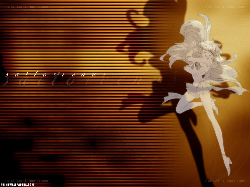 Sailor Venus anime wallpaper