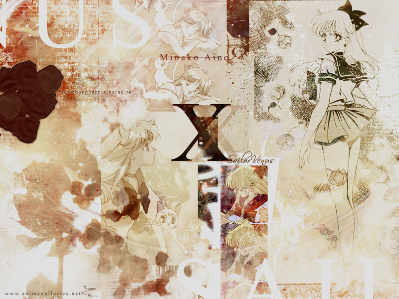 Sailor Venus collage artwork